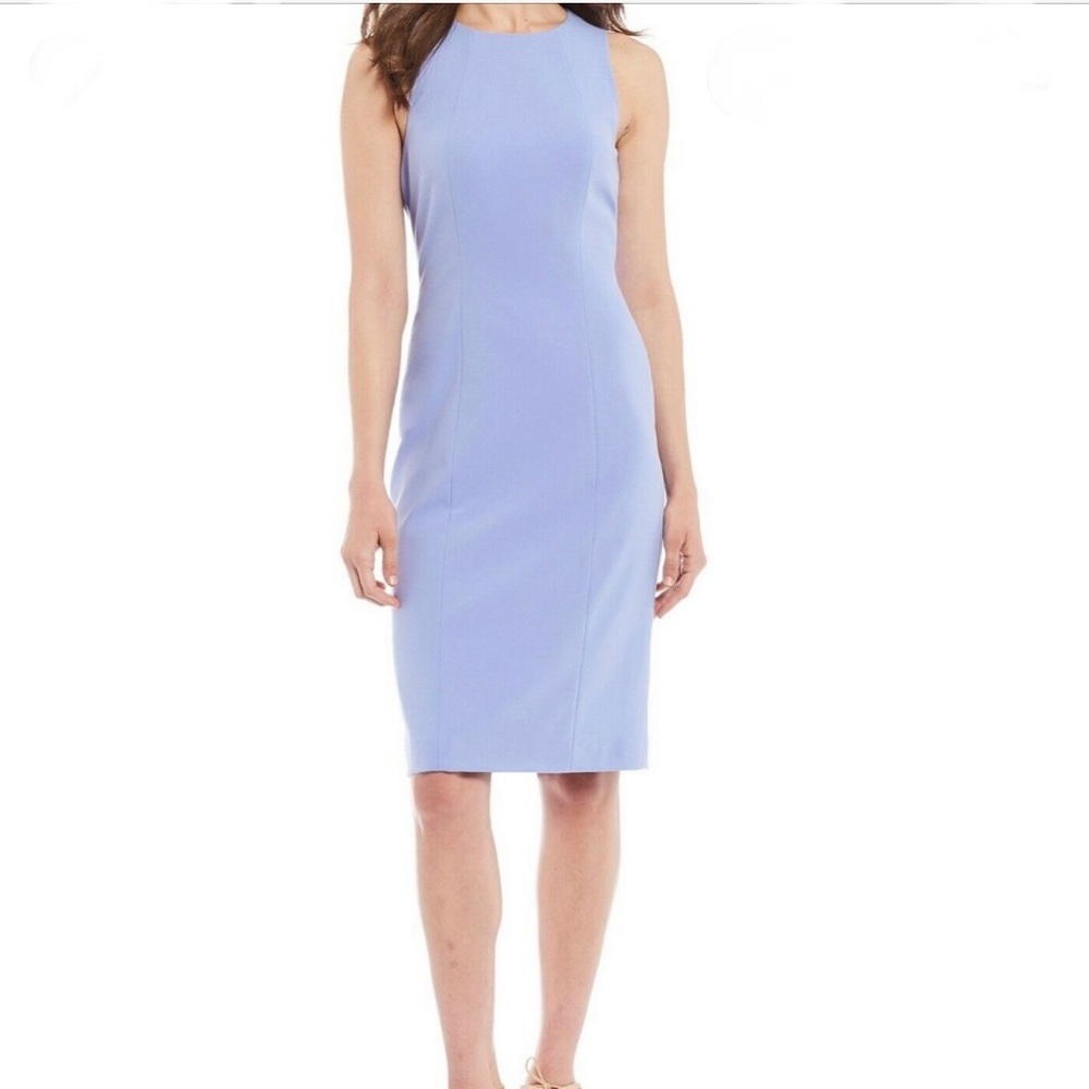 NWT Antonio Melani Birdie Sleeveless Twill Dress